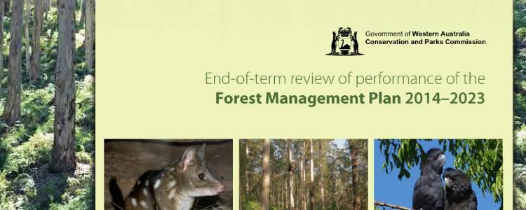 FMP End term review
