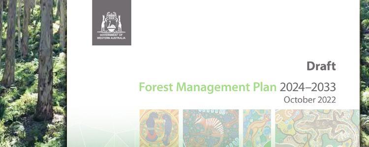 fmp-draft