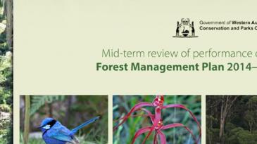 FMP mid term review cover 2019
