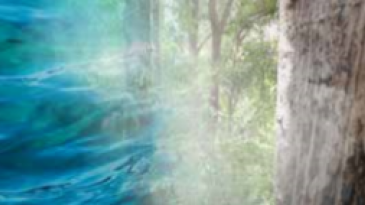 Making informed decisions to protect the natural and cultural values of WA