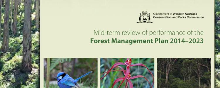 FMP mid term review cover 2019