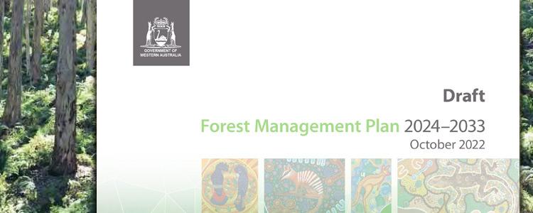 Draft Forest Management Plan 2024-2033 cover