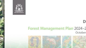 Draft Forest Management Plan 2024-2033 cover